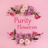 purityflower